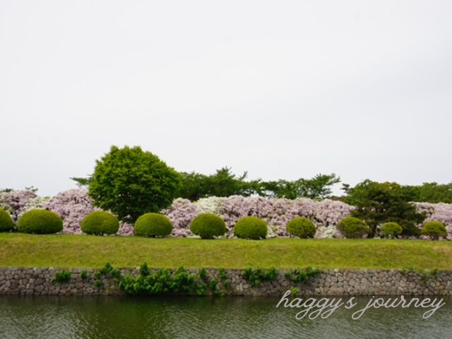 五稜郭公園