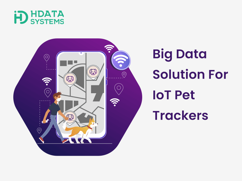 Big Data Solution For IoT Pet Trackers