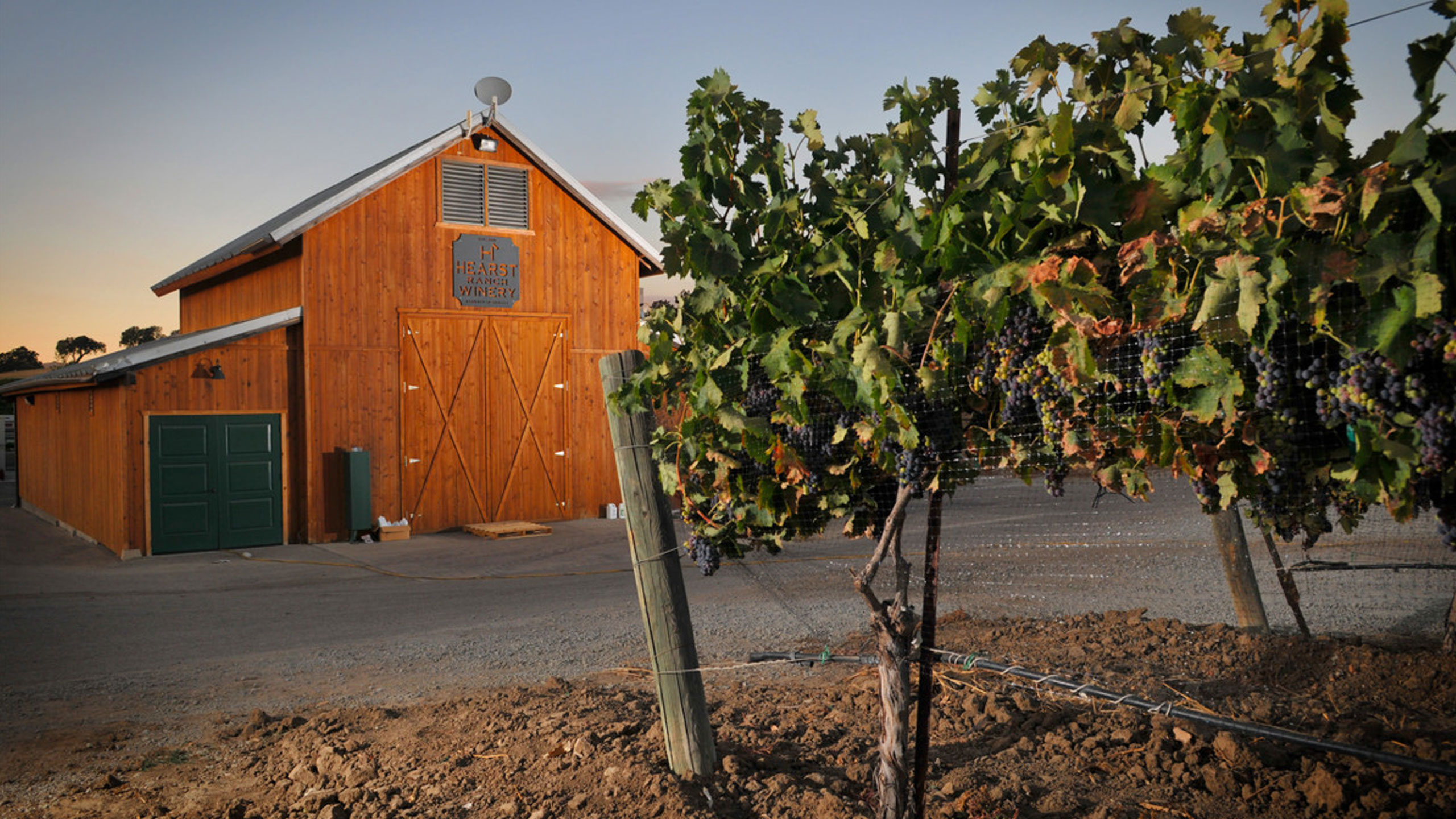 Barn at Hearst Ranch Winery.