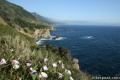 Central Coast Trail