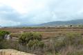 Carpinteria Salt Marsh