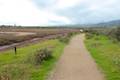 Carpinteria Salt Marsh