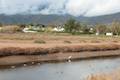 Carpinteria Salt Marsh