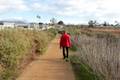 Carpinteria Salt Marsh