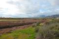 Carpinteria Salt Marsh