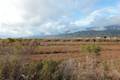 Carpinteria Salt Marsh