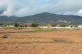 Carpinteria Salt Marsh