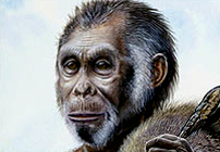 Homo floresiensis