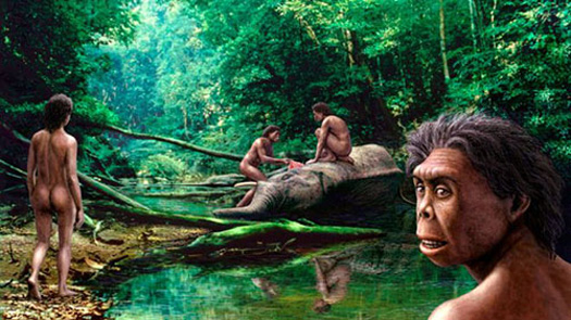 Homo floresiensis