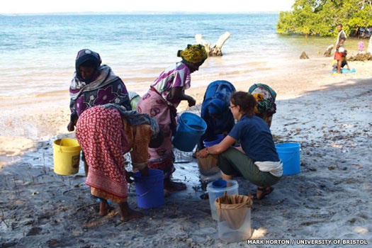 Researchers on Madagascar