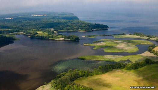 Chesapeake Bay