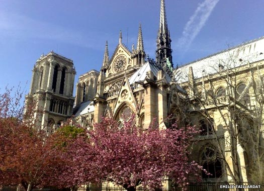 Notre Dame Cathedral of Our Lady of Paris