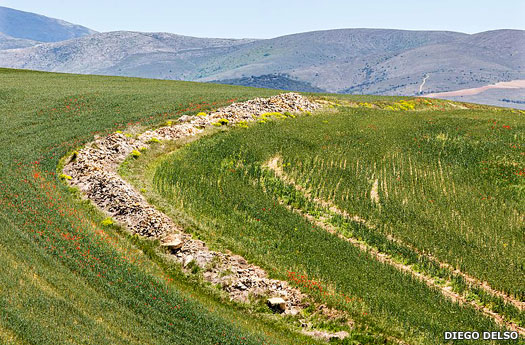 Remains of the wall of Augustobriga (Muro de Agreda)