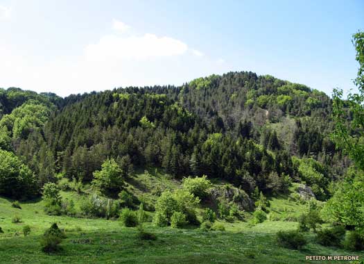 Monte Arioso