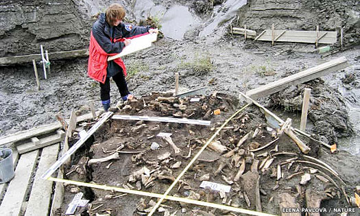 River Yana archaeological site of Ancient North Siberians