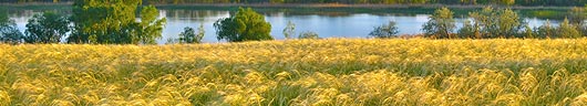 Steppe plains of Ukraine