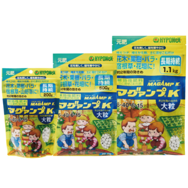 ライラックの育て方｜花の魅力や栽培のコツ、増やし方