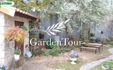 🕊Garden Tour🕊42：ブリコラージュフラワーがあちこちに飾られた秘密の花園のようなお庭