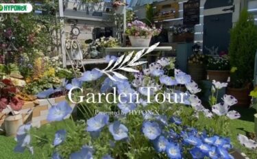 🕊Garden Tour🕊15：ガーデンピクニックやナイトガーデニングも楽しめるバルコニー