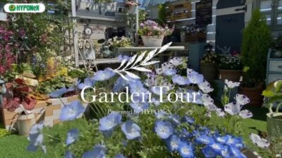 🕊Garden Tour🕊15：ガーデンピクニックやナイトガーデニングも楽しめるバルコニー