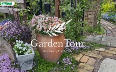 🕊Garden Tour🕊17：雑木やリーフ中心に、落ち着いた色合いの宿根草で彩る癒しのお庭