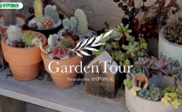 🕊Garden Tour🕊 02：可愛らしさと、いかつい植物を混在させたおしゃれなお庭