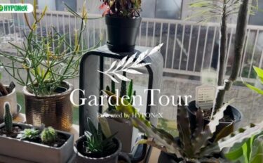 🕊Garden Tour🕊11：アクアリウムをきっかけに植物にハマり始めた、観葉植物に囲まれたお部屋