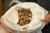 A close-up view of the broken seals. Safeguards inspectors use the metal seals to tag safeguarded equipment, for example, at nuclear facilities. (Credit: Hansen/IAEA) 