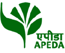 apeda-logo