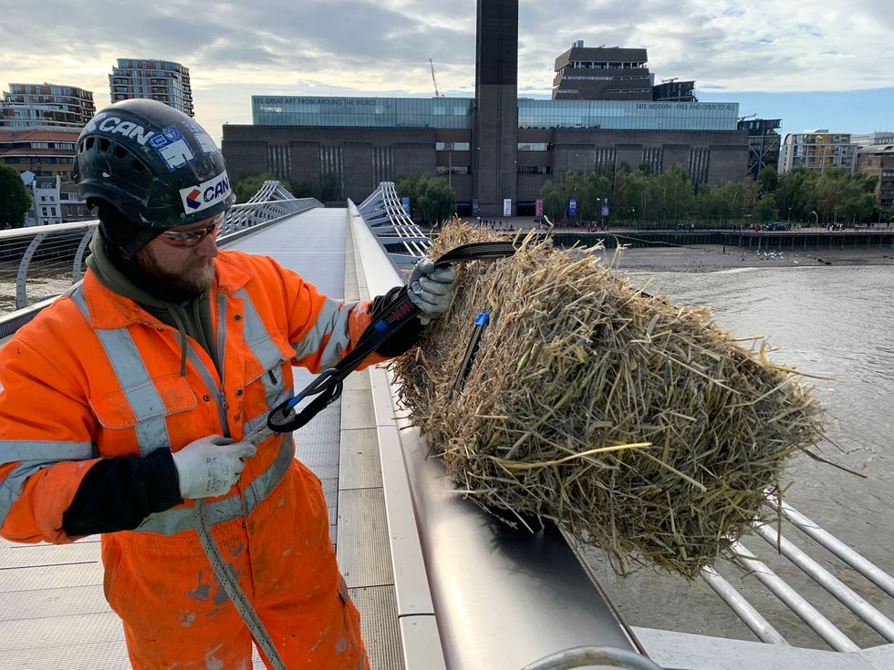 ‘Conspicuous’ bundle of straw dangled from Millennium Bridge per ancient byelaw