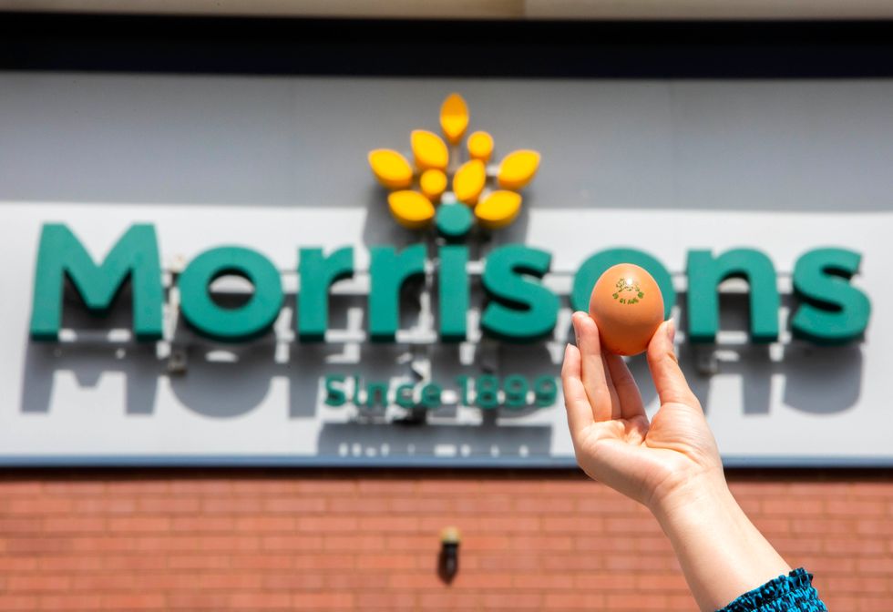 Morrisons launches ‘carbon-neutral’ eggs from hens fed insects instead of soya