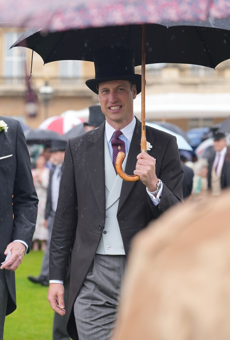 ‘Good weather for swimming’ as William welcomes guests to Palace garden party