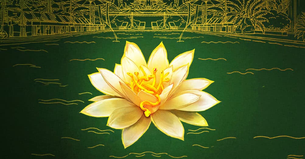 The White Lotus, season 4, renewed, HBO