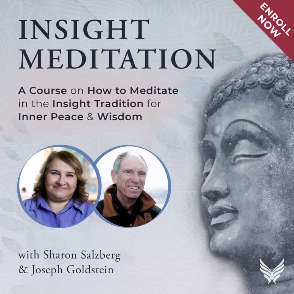 Insight Meditation