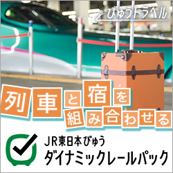 JR東日本びゅうダイナミックレールパック