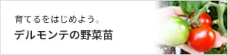 育てるをはじめよう。デルモンテの野菜苗