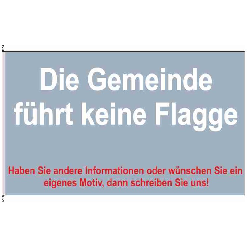 Fahne Flagge NWM-Groß Stieten