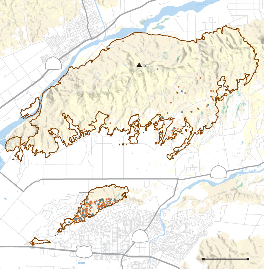 Map of the Mountain fire perimeter and damaged and destroyed buildings