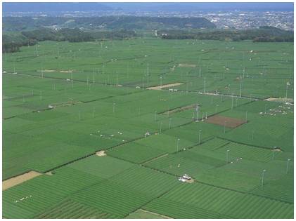 大区画水田航空写真