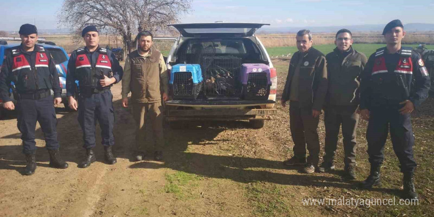 Çanakkale’de kaçak av operasyonuna 70 bin TL ceza