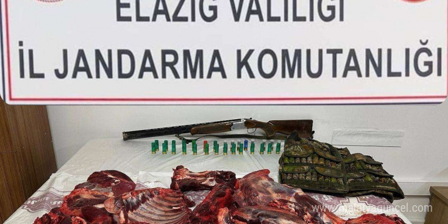 Elazığ’da dağ keçisini avlayan şahsa 650 bin lira ceza kesildi