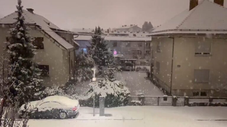 neve lubiana