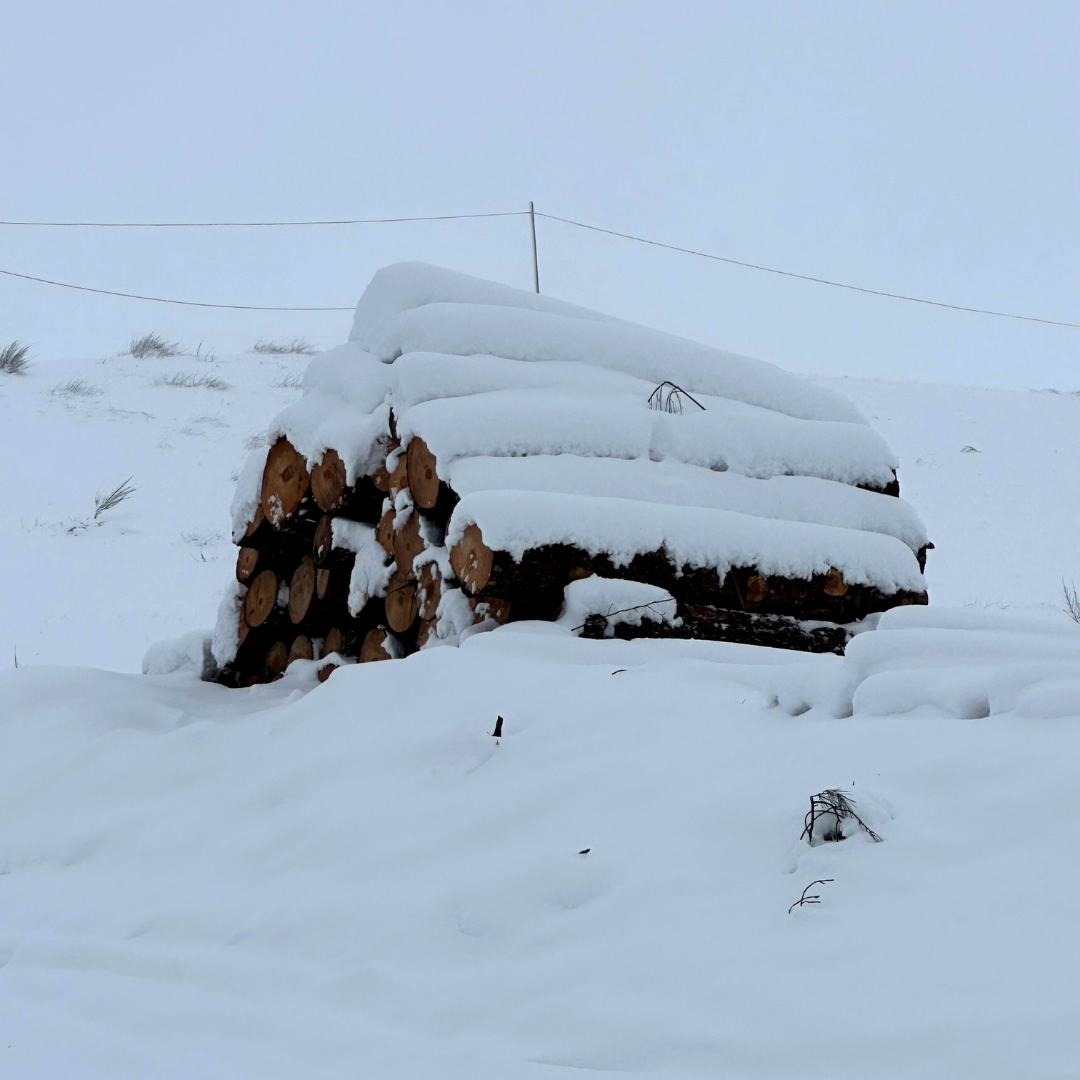 neve sila calabria