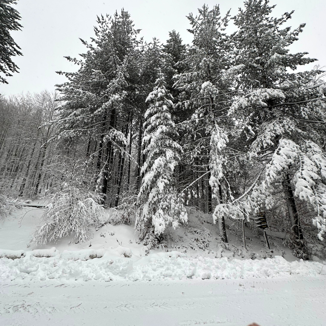 neve sila calabria