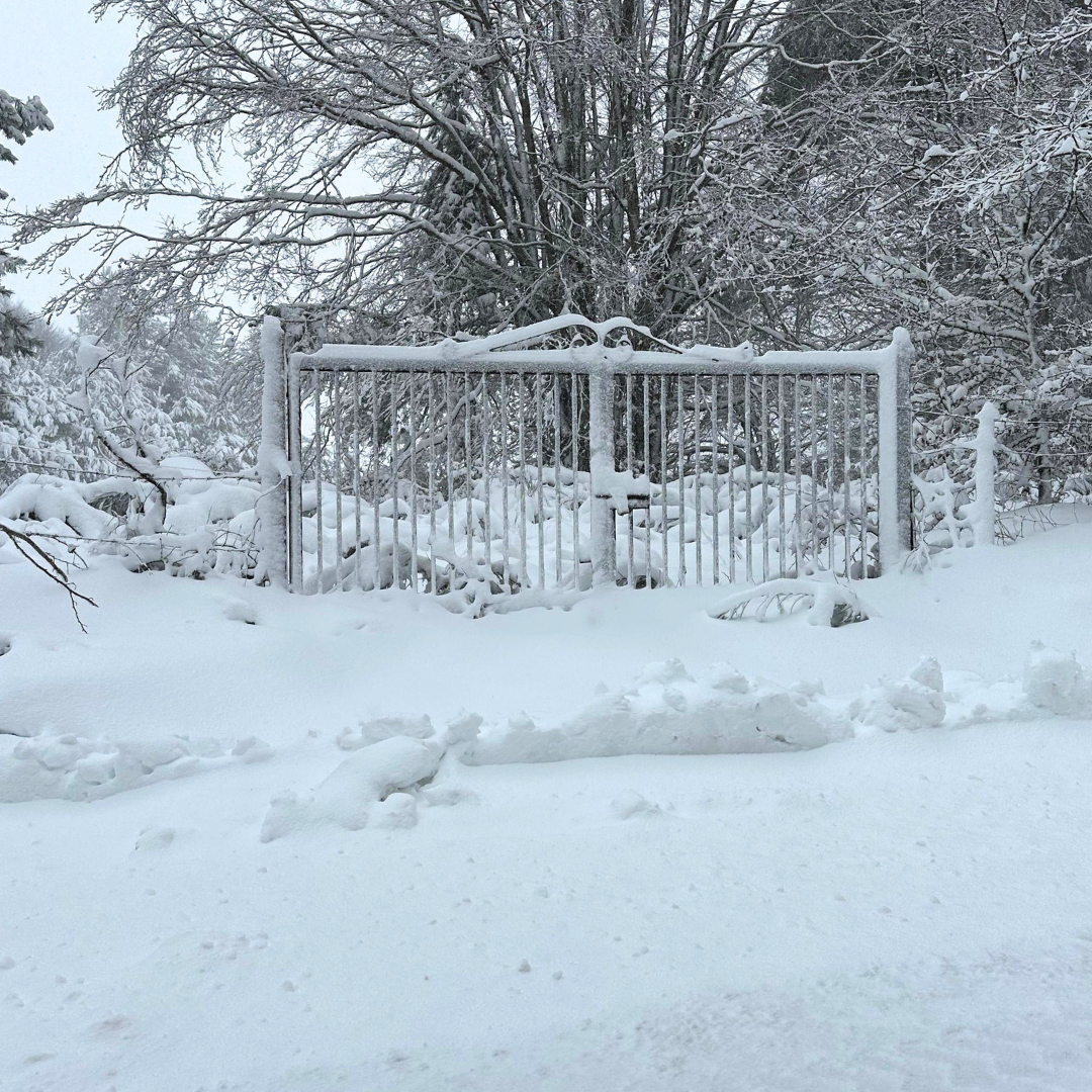 neve sila calabria