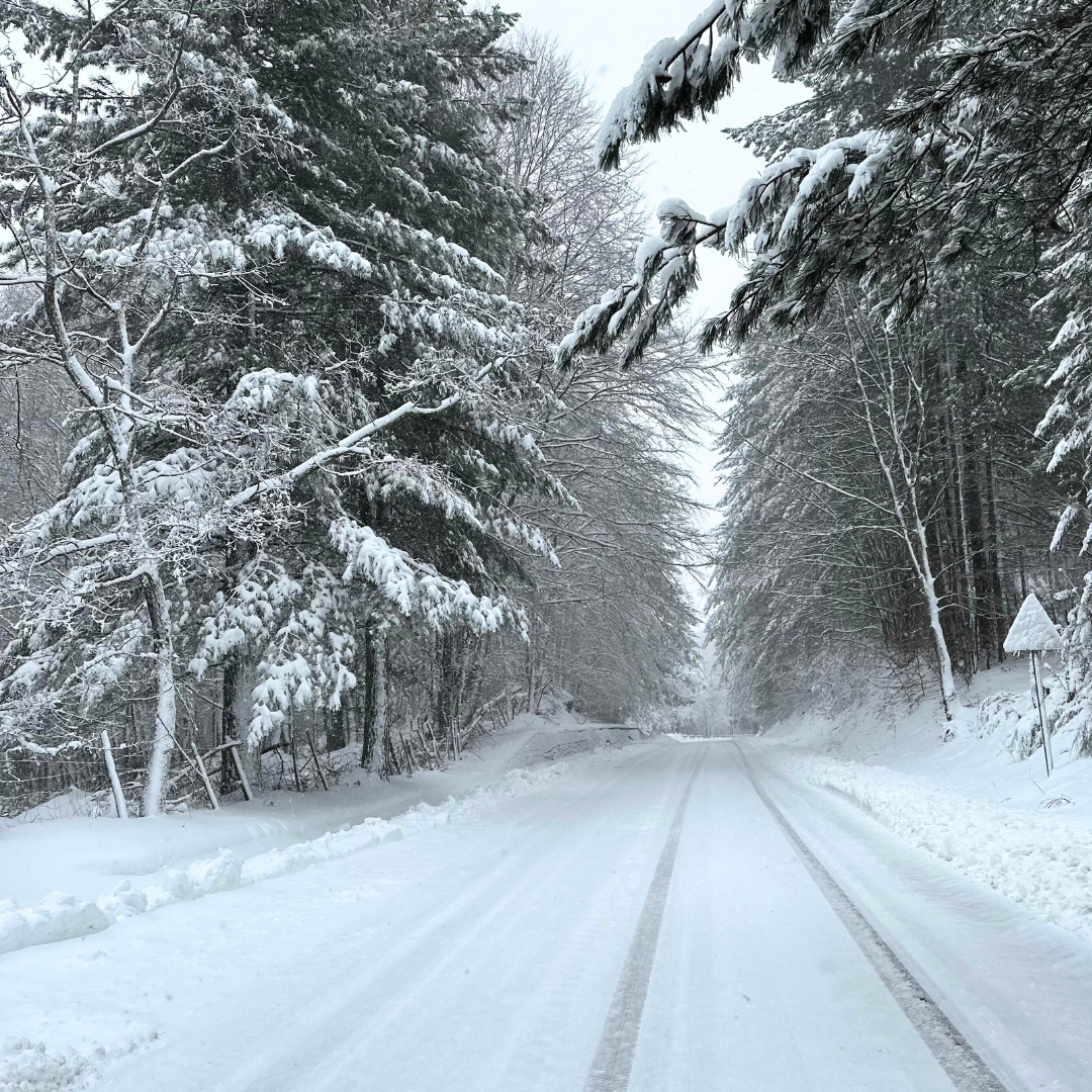 neve sila calabria