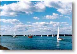 Cumulus clouds over water