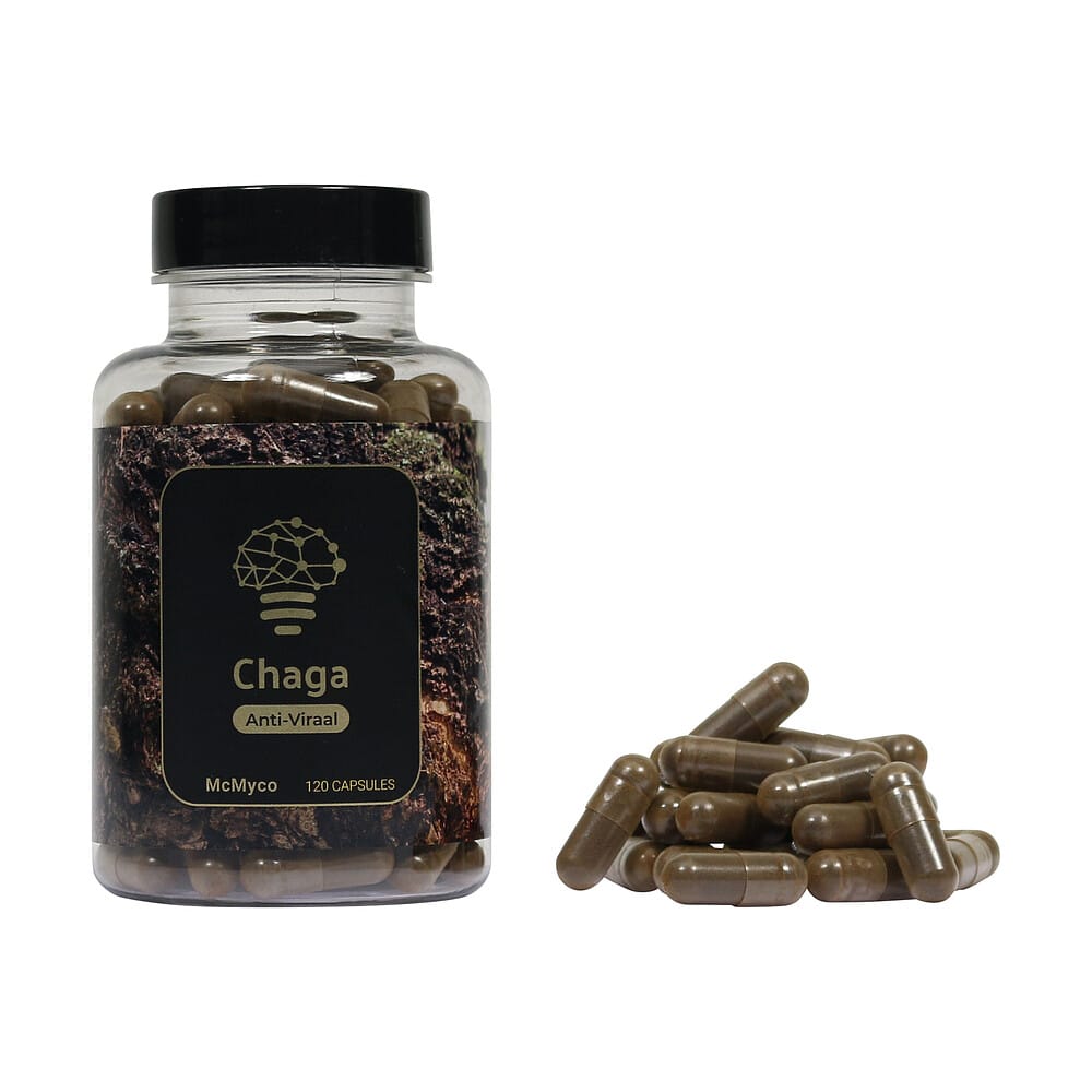 Chaga Extract