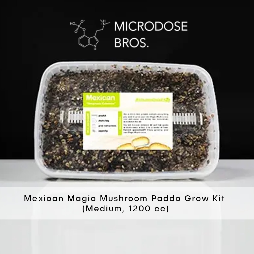 Mexican Grow Kit