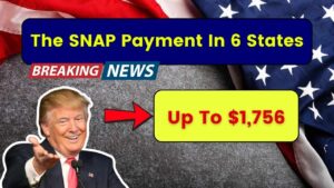 $1,756 SNAP Payments to Be Delivered by January 23 – Find Out If You Qualify!